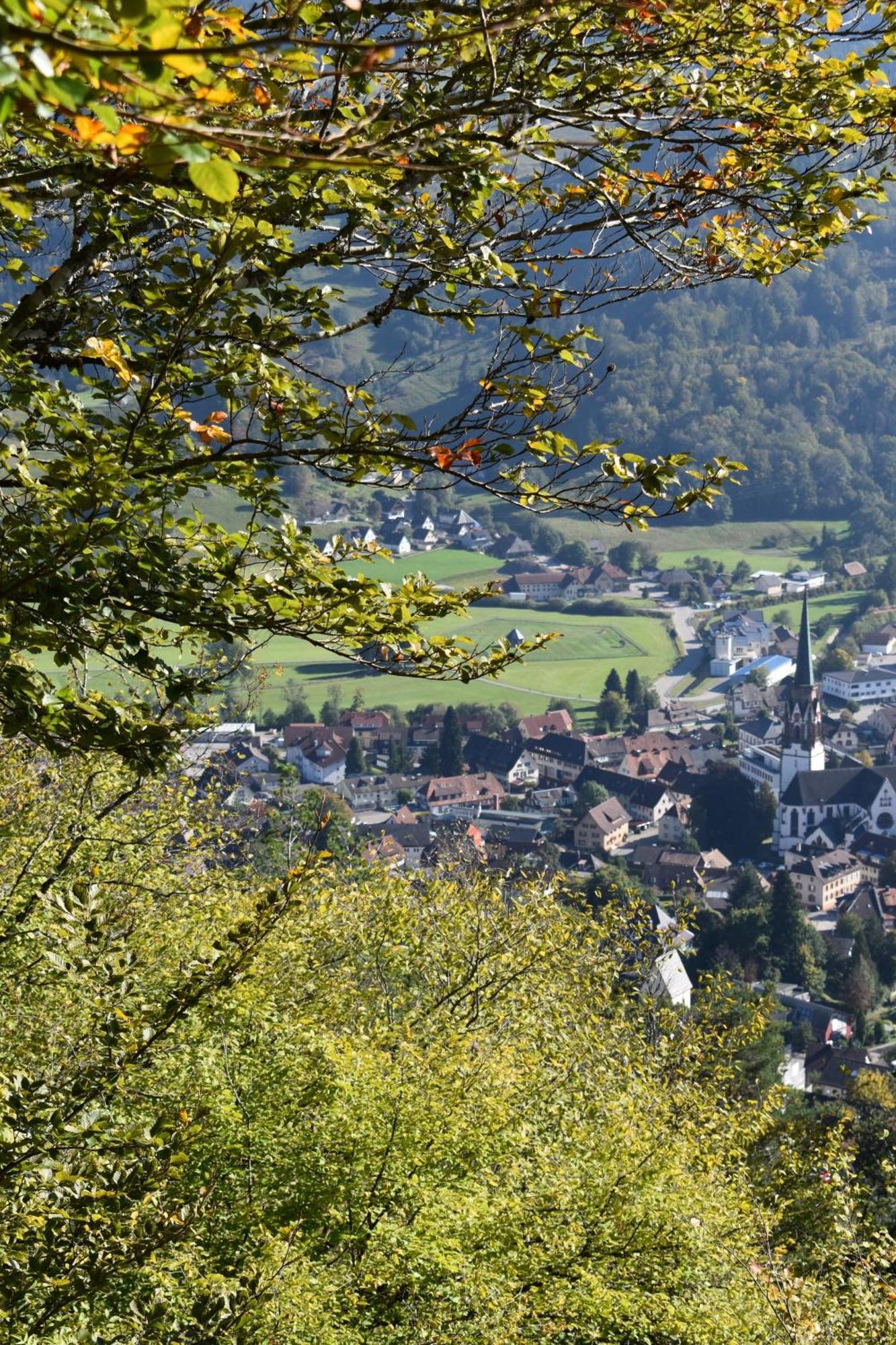 Gartenferienhaus "Annaluise" Schönau im Schwarzwald 外观 照片