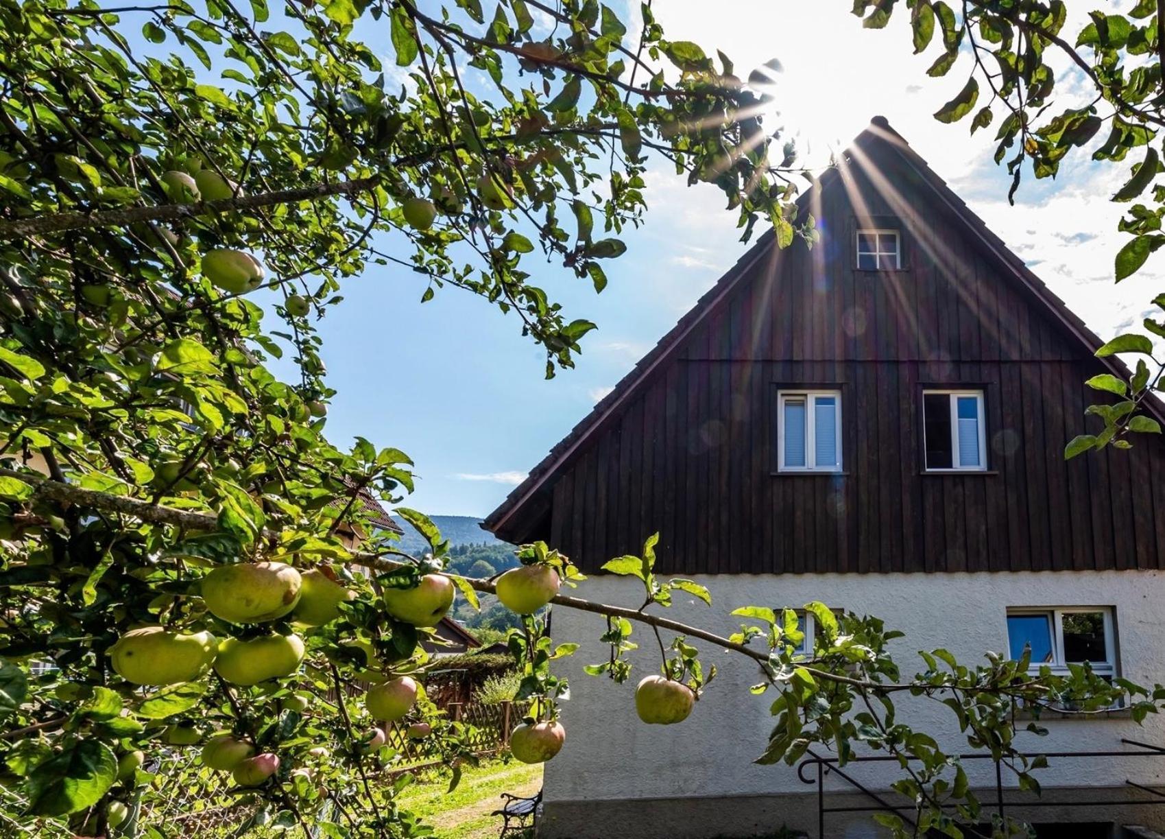 Gartenferienhaus "Annaluise" Schönau im Schwarzwald 外观 照片