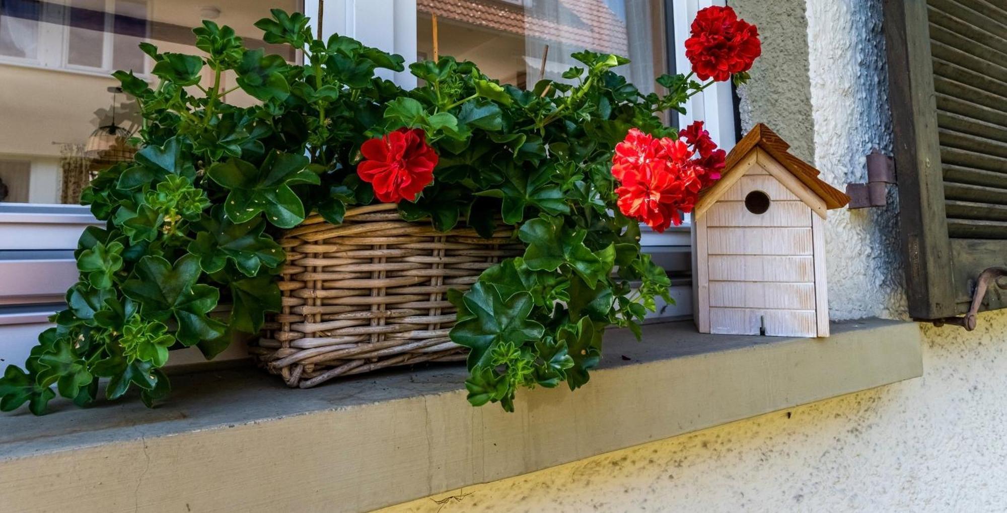 Gartenferienhaus "Annaluise" Schönau im Schwarzwald 外观 照片